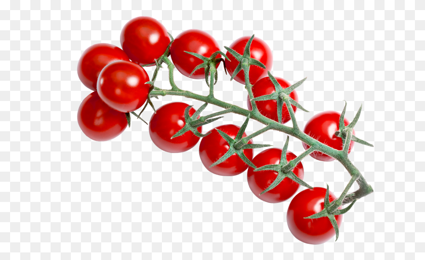 639x455 Red Cherry Tomatoes Bush Tomato, Plant, Fruit, Food HD PNG Download