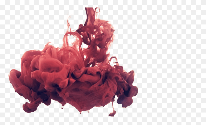 1617x937 Red Color Drop In Water1 Red Dye In Water, Rose, Flower, Plant HD PNG Download