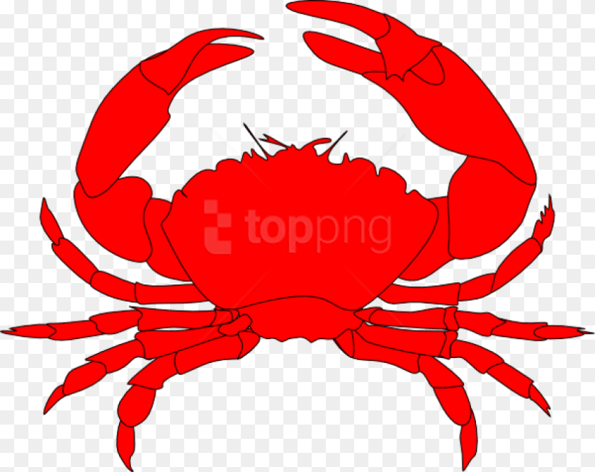 Red Crab Animal, Food, Invertebrate, Sea Life Clipart PNG