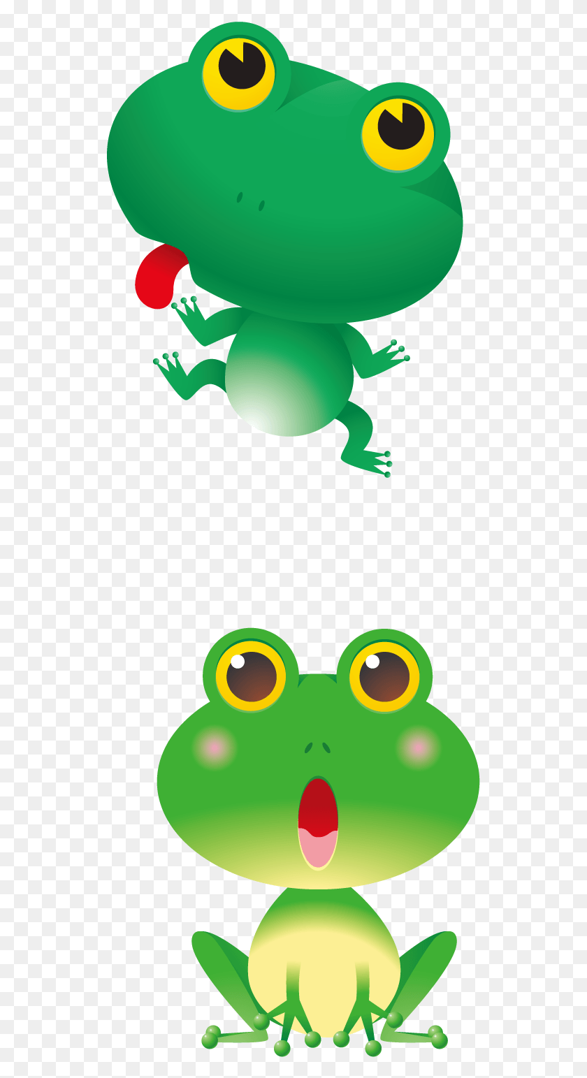 535x1483 Red Eye Meme Blushing Frog, Animal, Wildlife, Amphibian HD PNG Download