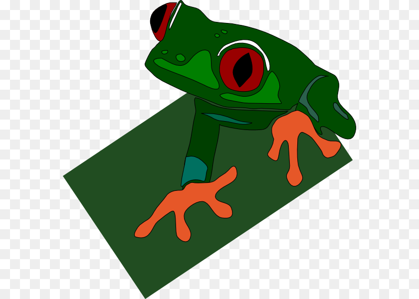 Red Eyed Frog Clip Art Vector, Amphibian, Animal, Wildlife, Tree Frog Sticker PNG