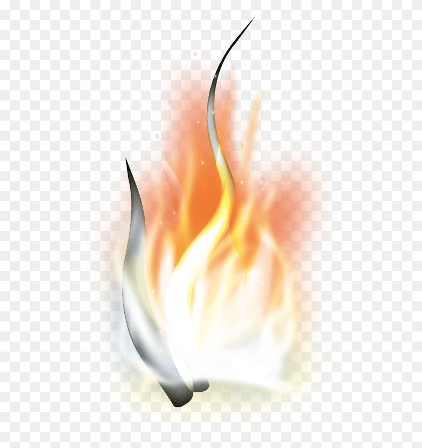 527x832 Fuego Rojo, Invertebrado, Animal, Vida Marina Hd Png