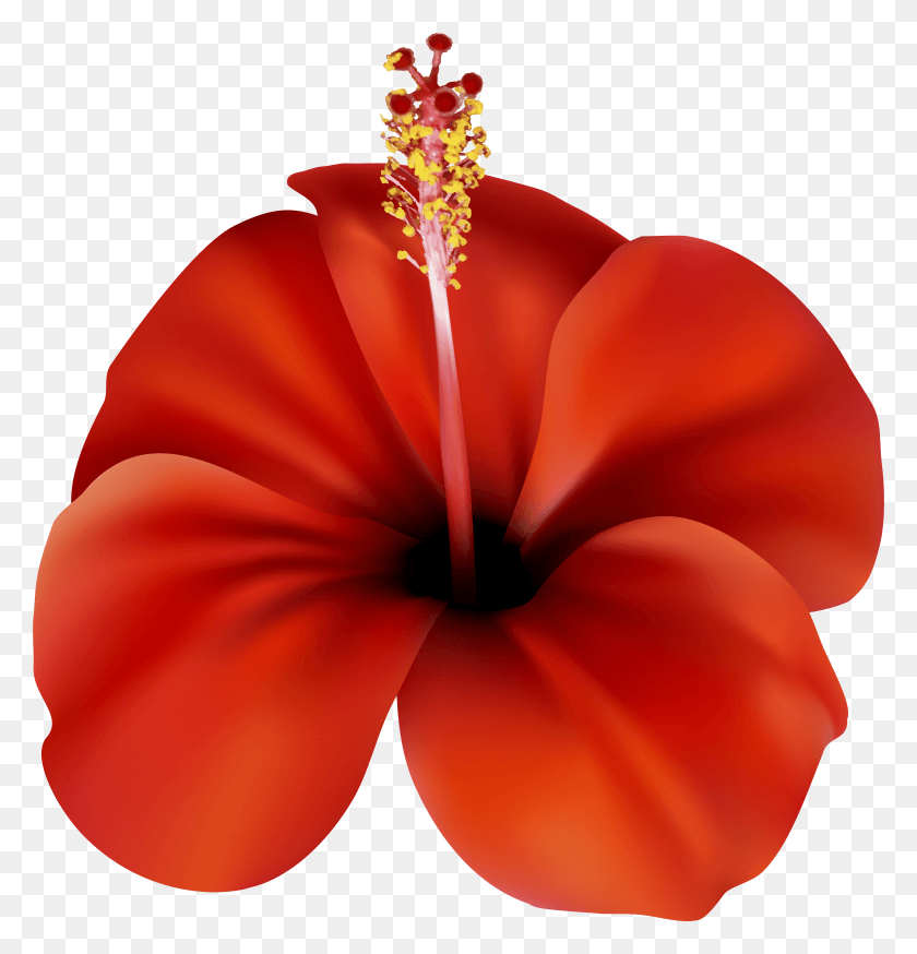 7486x7815 Red Flower Clip Art HD PNG Download