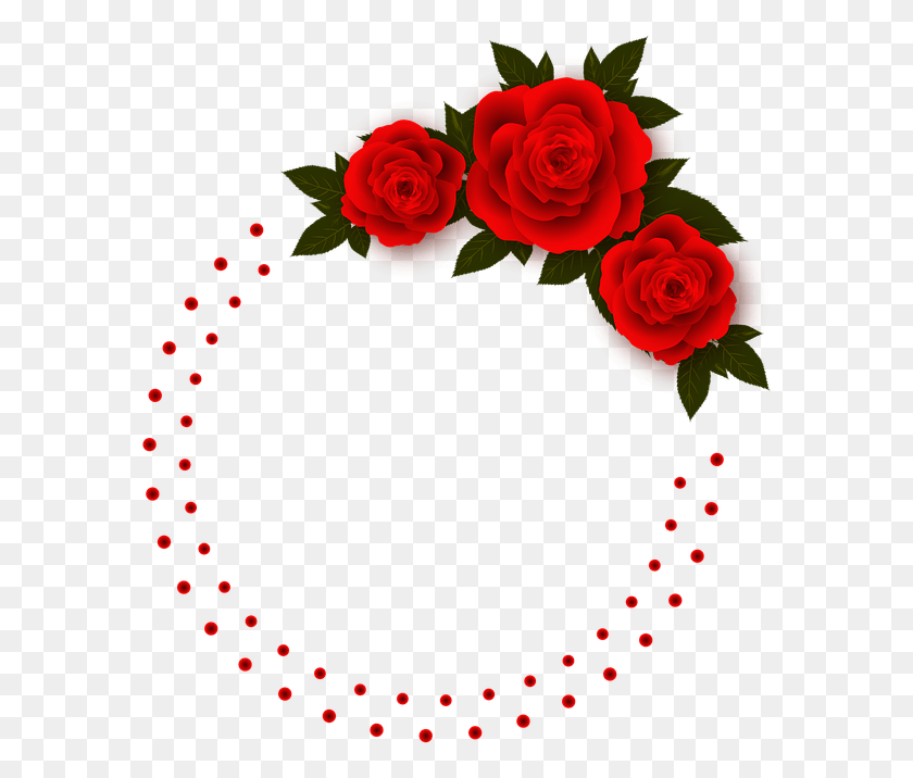 583x656 Red Flower Frame Art Of Rose Flower, Rose, Flower, Plant HD PNG Download