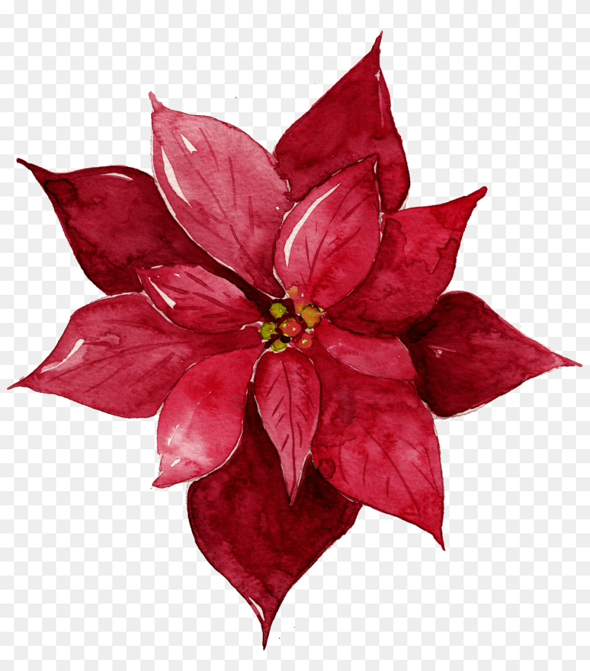 Red Flower Illustration Download Vector, Leaf, Plant, Petal, Pattern Transparent PNG