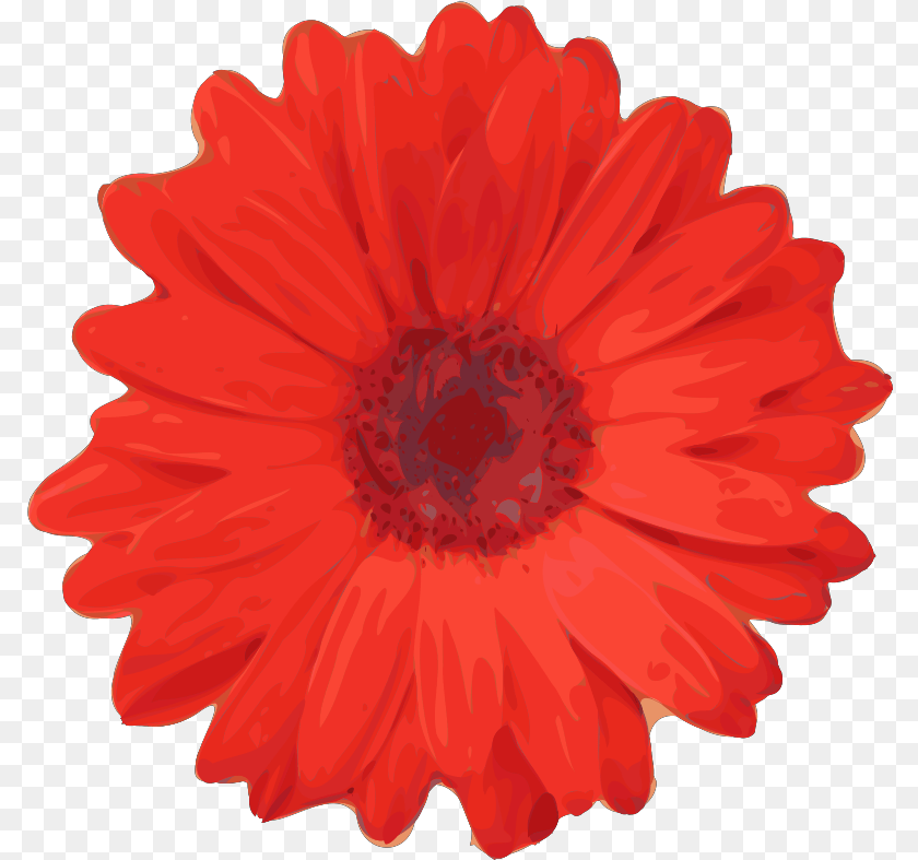 793x787 Red Flower Pedals Svg Vector Clip Art Red Flower Clip Art, Daisy, Petal, Plant, Dahlia PNG