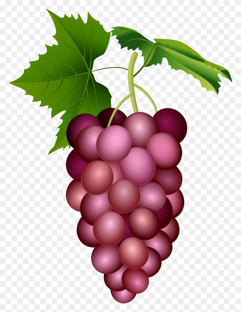 6015x7925 Red Grape Clip Art Image HD PNG Download