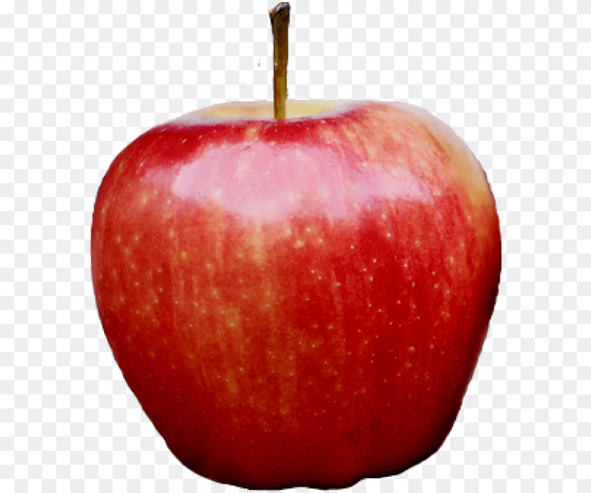 589x700 Red Kashmir Apple Download Background Apple, Food, Fruit, Plant, Produce PNG