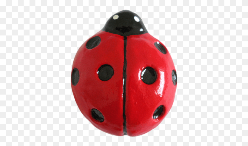 363x434 Red Ladybug Drawer Knob Ladybug, Plant, Ball, Food HD PNG Download
