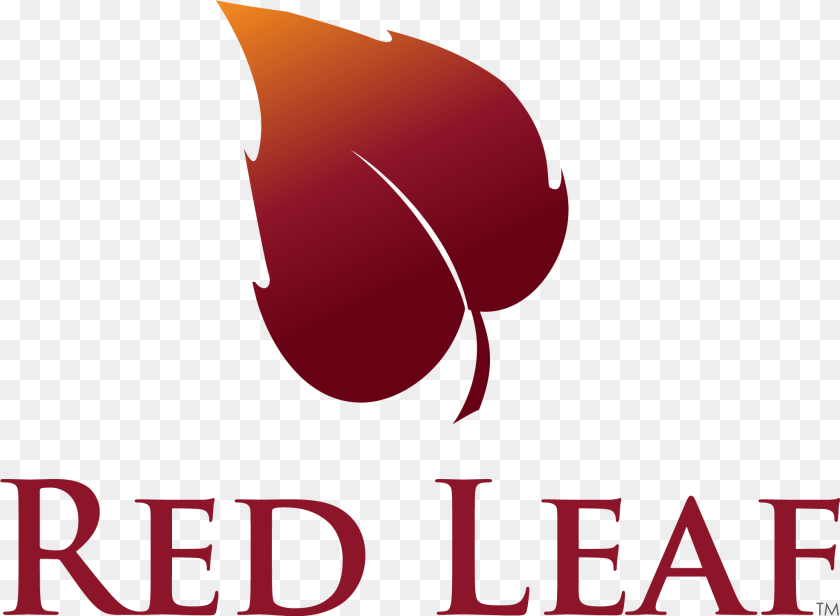 1968x1444 Red Leaf Logo Red Leaf Logo Design, Person PNG