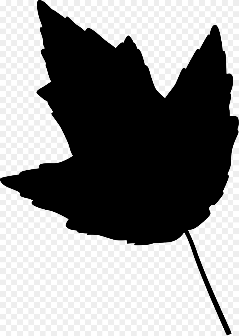 Red Maple Leaf Silhouette, Maple Leaf, Plant, Animal, Cat PNG