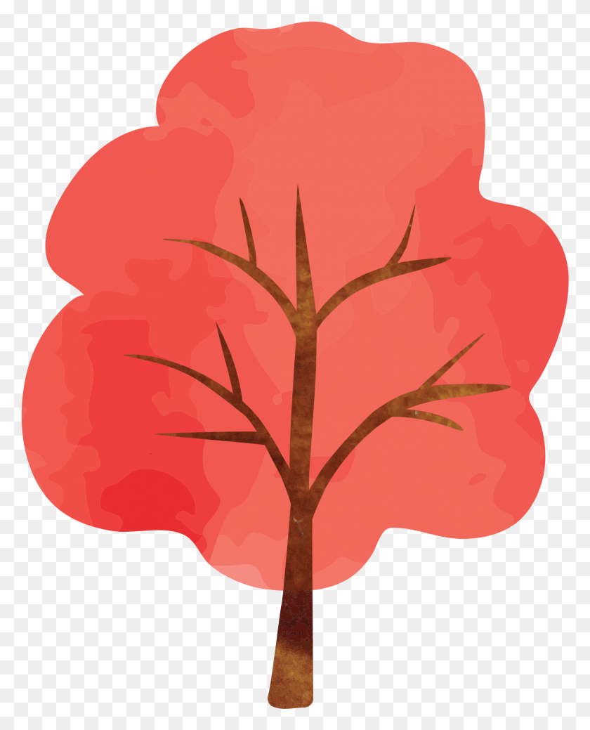 1646x2066 Red Maple Photography Illustration, Plant, Leaf, Flower HD PNG Download