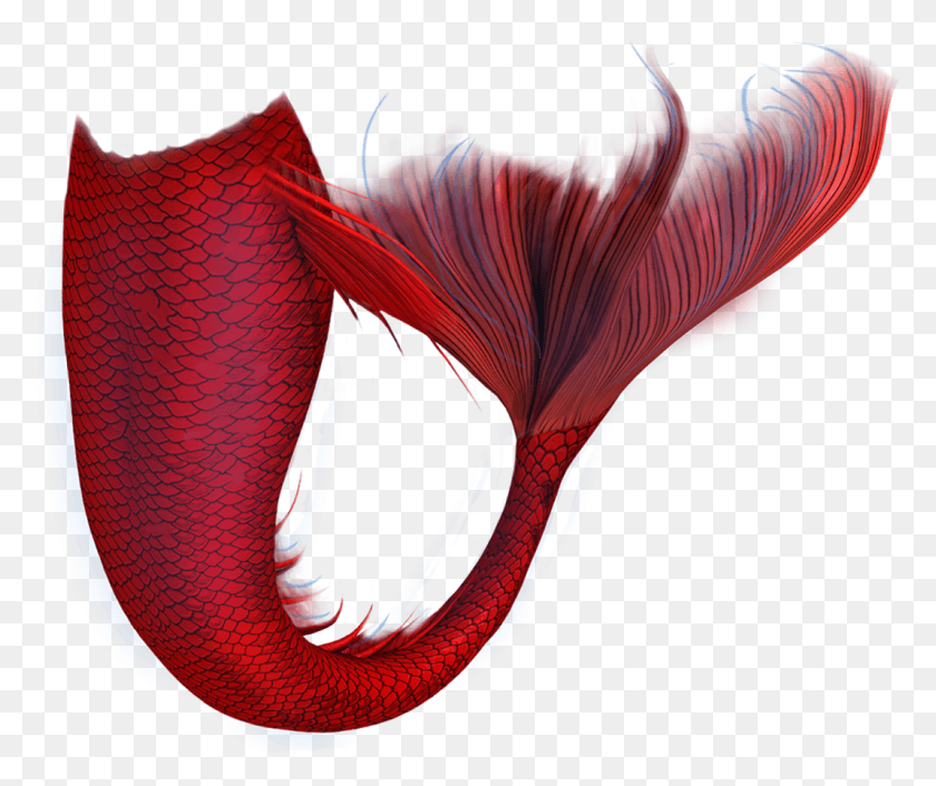 1067x884 Red Mermaid Tail, Plant, Bird, Animal HD PNG Download