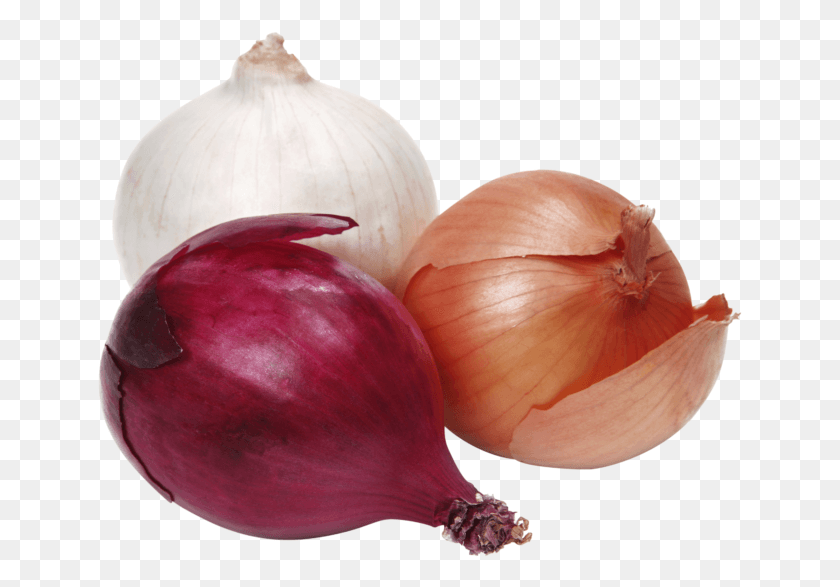 645x527 Red Onion, Plant, Shallot, Vegetable HD PNG Download