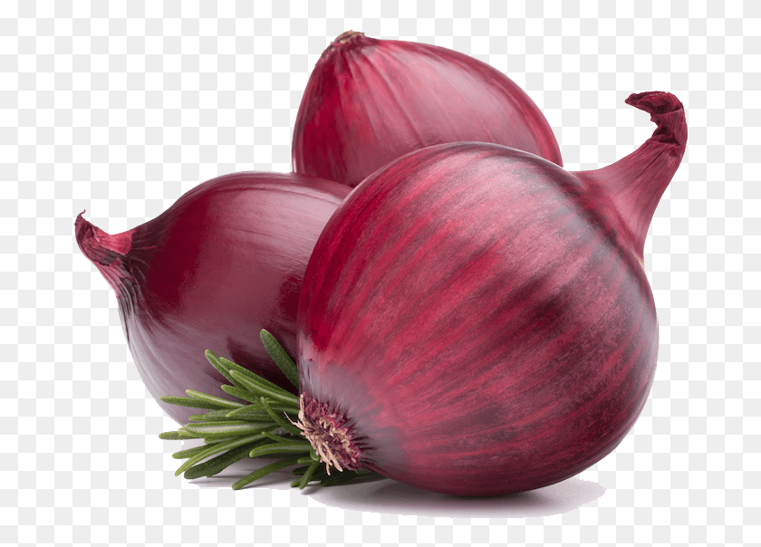 678x544 Red Onion Onion, Plant, Shallot, Vegetable HD PNG Download