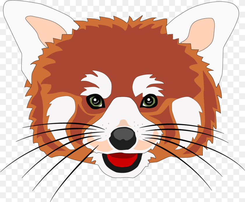 1133x935 Red Panda Head, Baby, Person, Face, Animal PNG