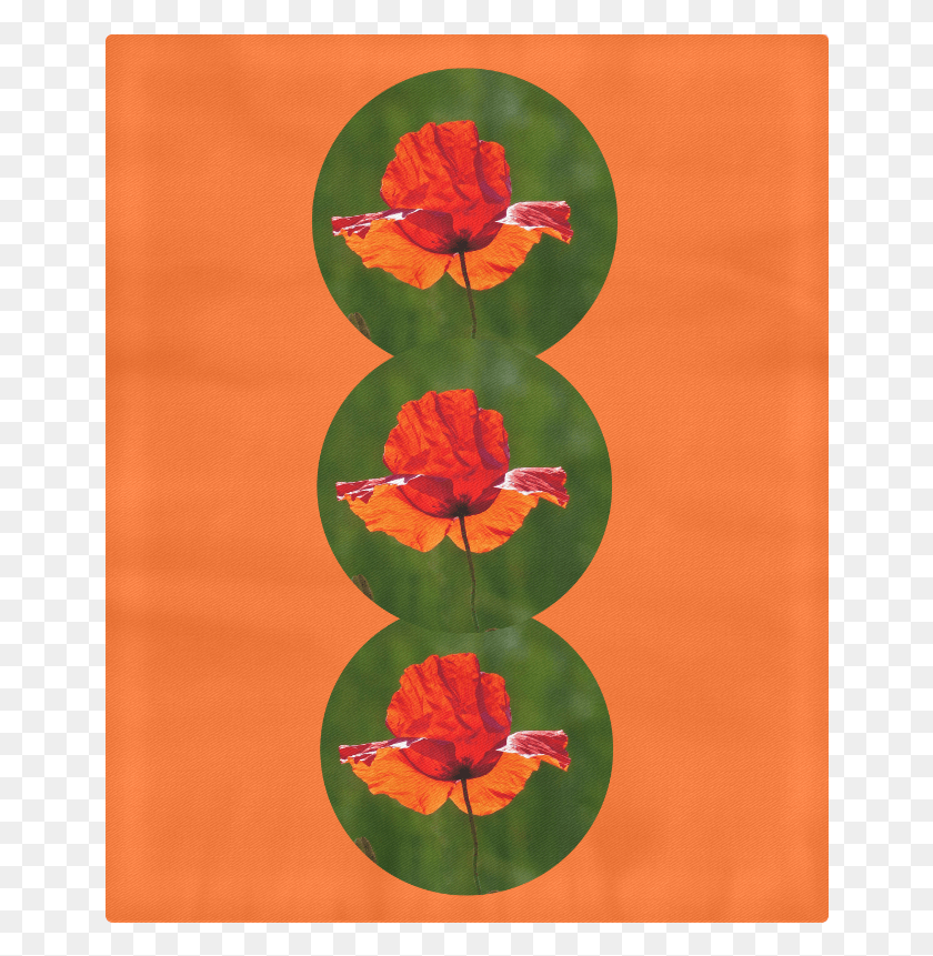652x801 Красный Мак 002 Тюльпан, Растение, Текст, Цветок Hd Png Скачать