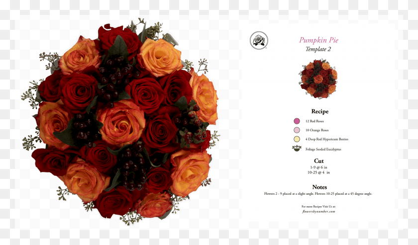 1800x1000 Descargar Png / Pastel De Calabaza Roja, Rosas De Jardín, Diseño Floral Hd Png