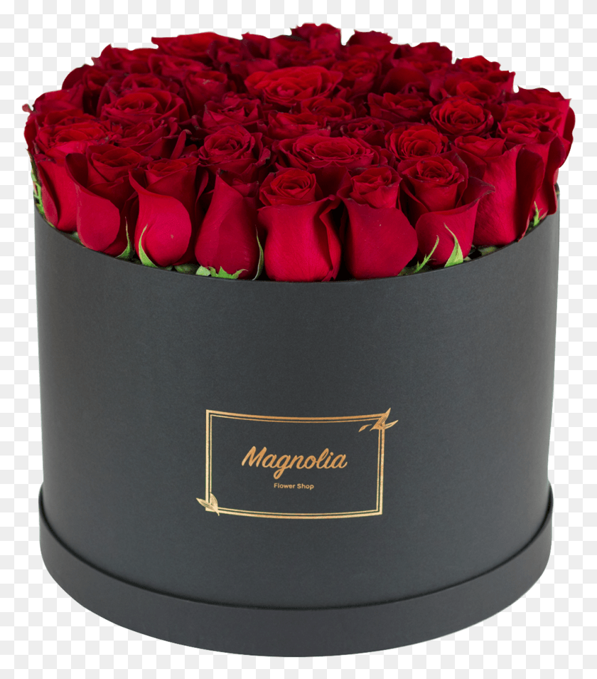 1011x1159 Красная Королева Садовые Розы, Роза, Цветок, Растение Hd Png Скачать