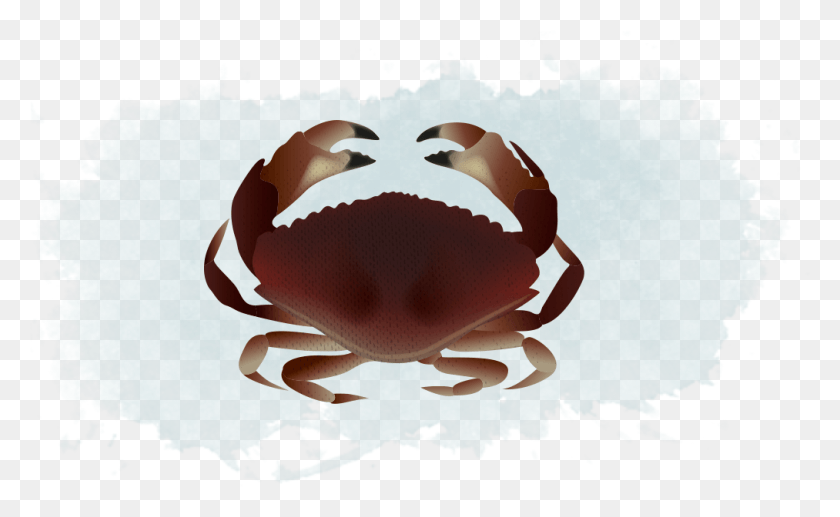 1013x594 Красный Каменный Краб Dungeness Crab, Морепродукты, Морская Жизнь, Еда Hd Png Скачать