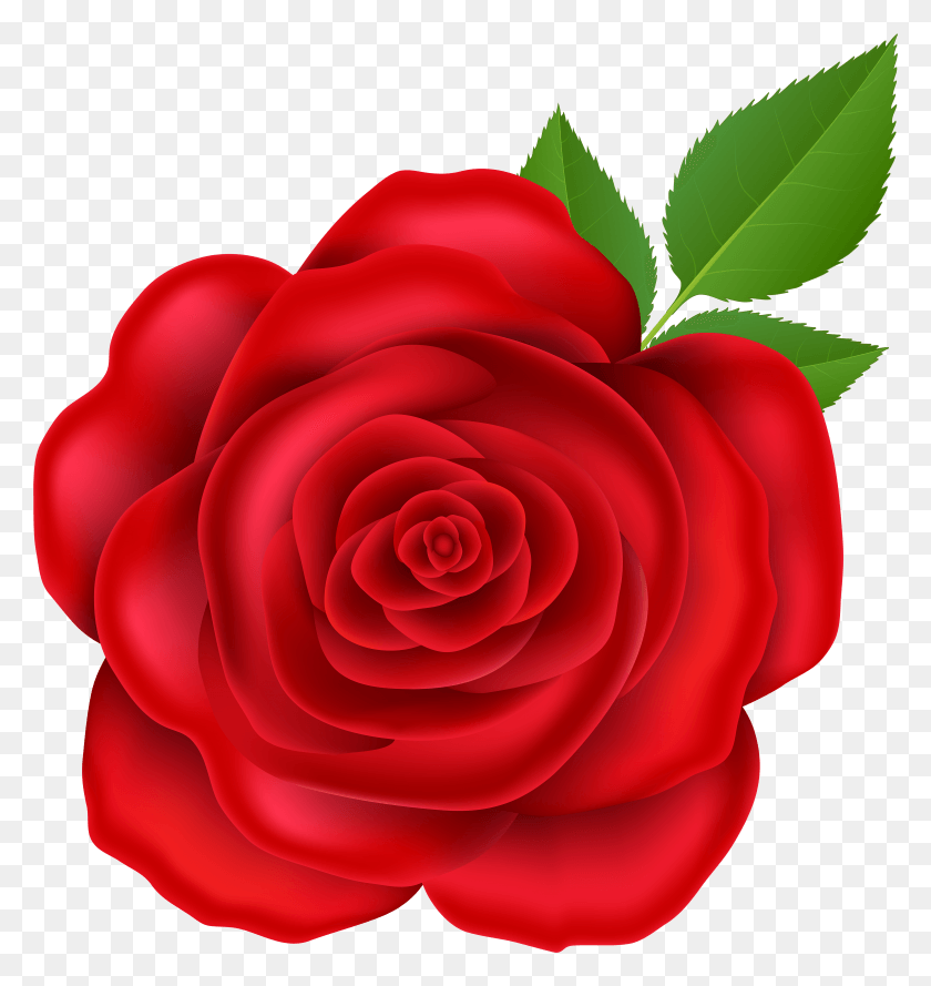 5547x5897 Red Rose Clip Art Image Garden Roses HD PNG Download