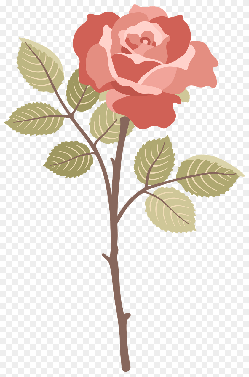 1270x1920 Red Rose Clipart, Flower, Plant, Pattern, Art PNG