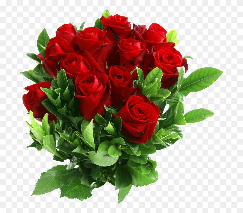 706x677 Красная Роза Клипарт Красивые Розы Цветы, Растение, Цветок, Цветение Hd Png Скачать