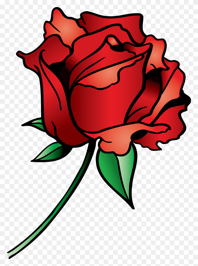 999x1368 Rosa Roja Png / Rosa Roja, Flor, Planta Hd Png