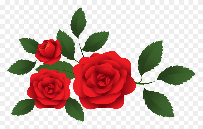 7901x4816 Red Rose Clipart Rosas Red Rose Border, Rose, Flower, Plant HD PNG Download