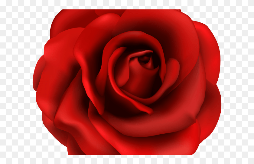 627x481 Red Rose Clipart Rose Garden Happy Valentine 2012, Flower, Plant, Blossom HD PNG Download