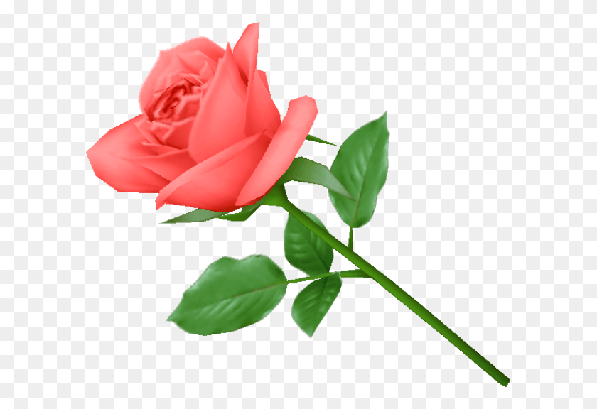 600x516 Красная Роза Зеленые Листья Клипарт Бесплатно Роза, Цветок, Растение, Цветение Hd Png Скачать