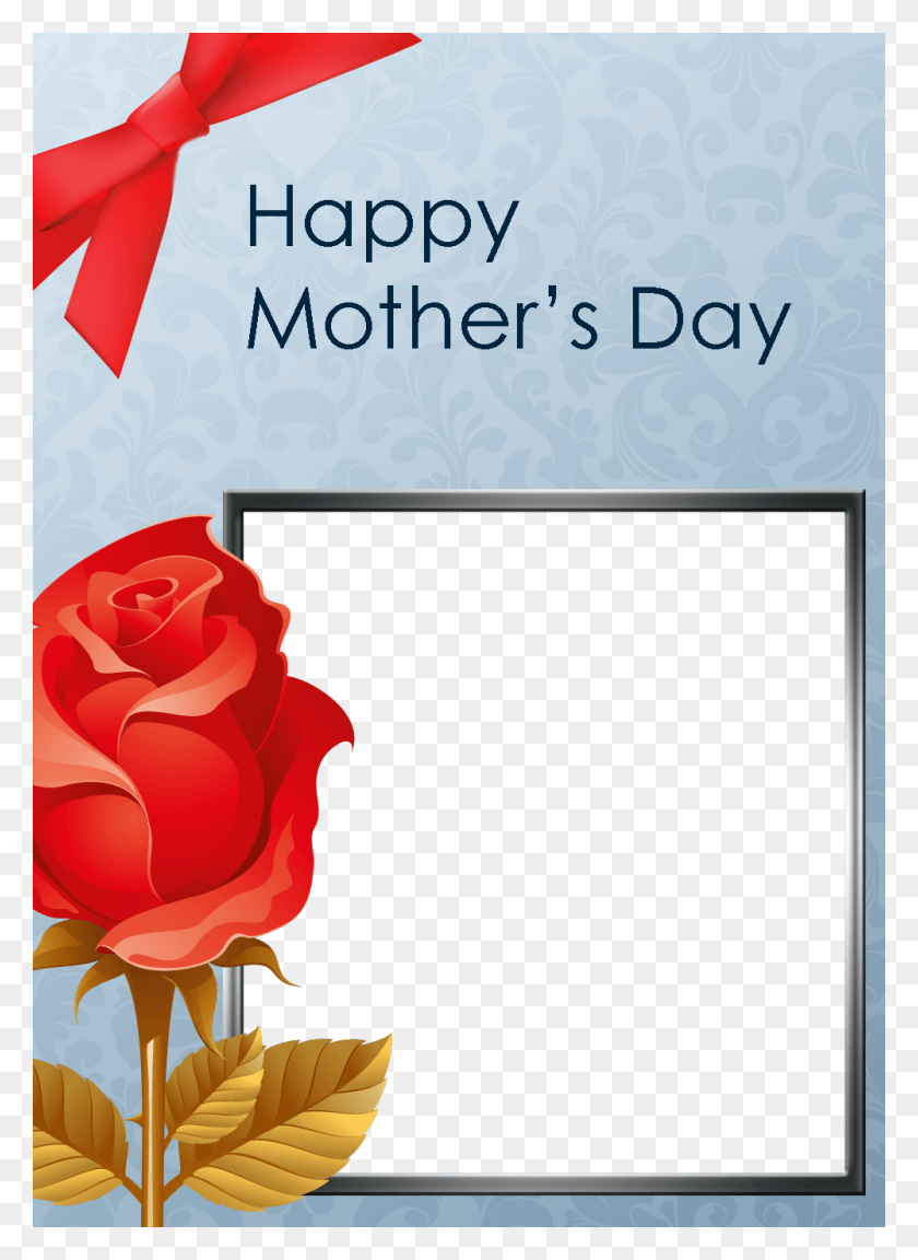 1000x1400 Red Rose Photo Card Mother39s Day Card Frame, Rose, Flower, Plant HD PNG Download