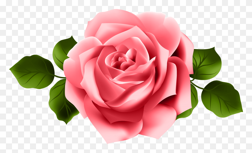 7936x4608 Red Rose Transparent Clip Art Pink Red Rose HD PNG Download