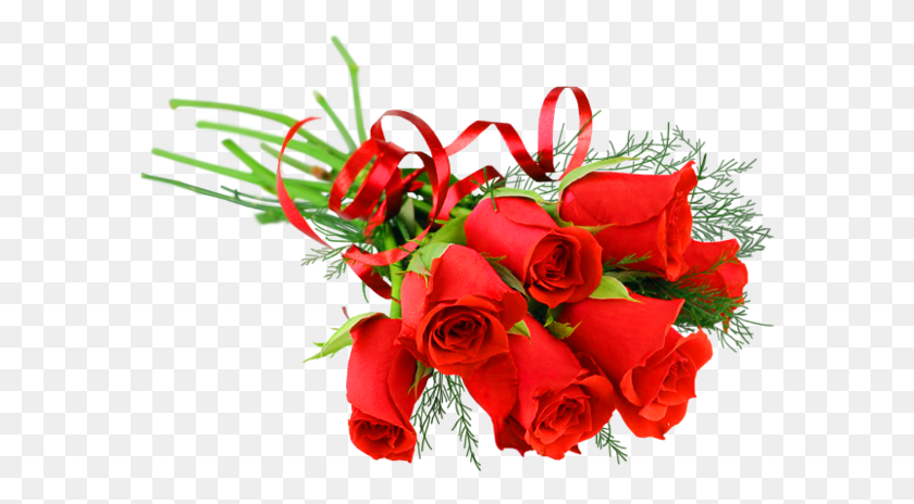 584x404 Букет Красных Роз Букет Цветов Прозрачный, Растение, Цветок, Цветение Png Скачать