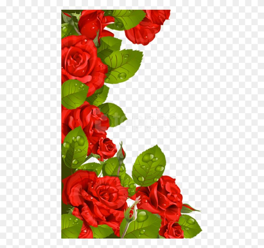 451x729 Красные Розы Украшения Для Рамки Клипарт Цветочные Границы Дизайн Красные Розы, Графика, Растение Hd Png Скачать