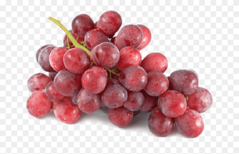 669x483 Red Seedless Table Grapes Red Grapes, Fruit, Plant, Food HD PNG Download