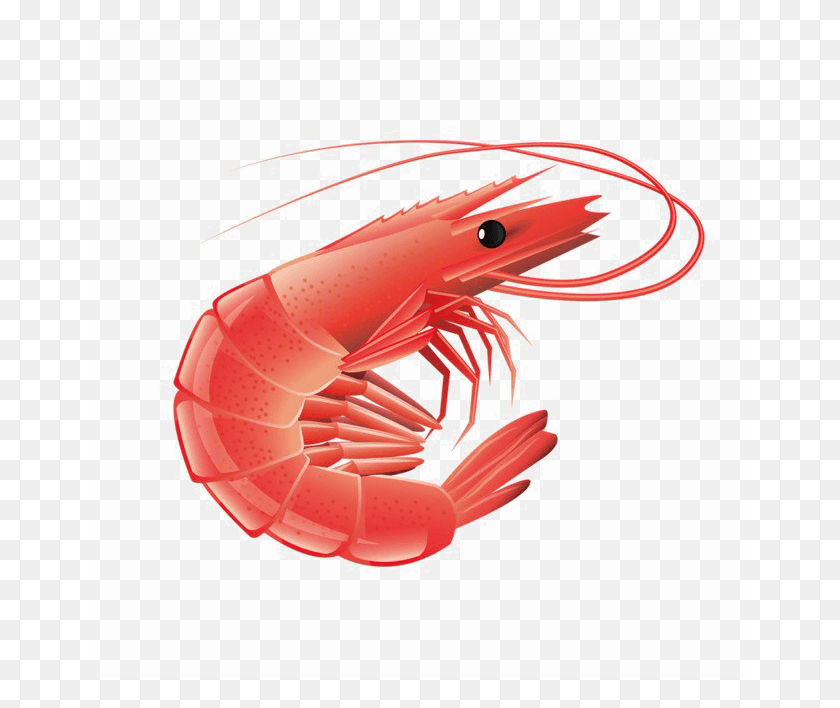650x648 Red Shrimp Transparent Image Transparent Background Transparent Shrimp Clipart, Food, Seafood, Sea Life HD PNG Download