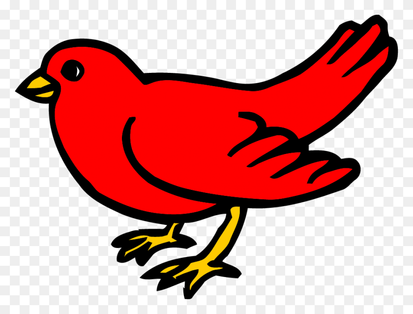 898x666 Red Small Bird Clipart Red Bird From Brown Bear Book, Animal, Chicken, Poultry HD PNG Download