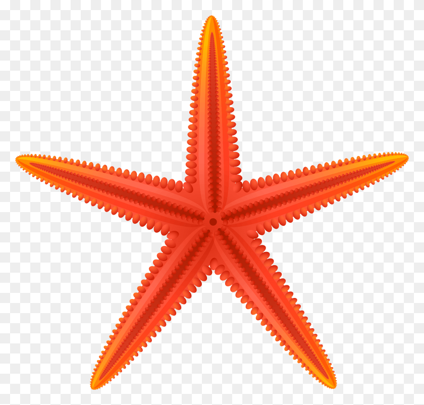 7733x7362 Red Starfish Clip Art HD PNG Download
