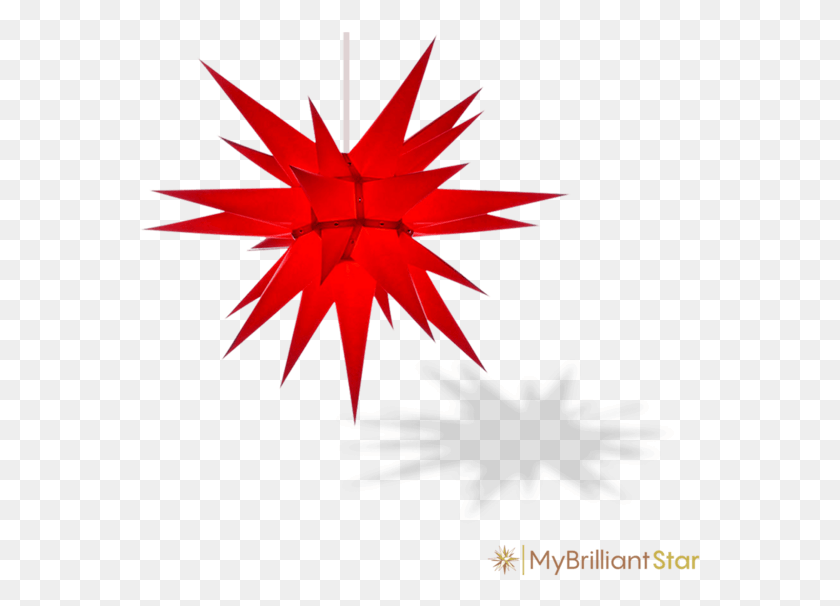 561x546 Red Stars, Leaf, Plant, Symbol HD PNG Download