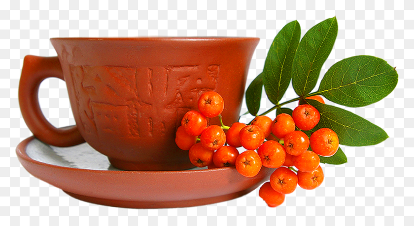 1121x575 Red Tea And Cup With Leaf Osen I Kofe, Bowl, Plant, Fruit HD PNG Download