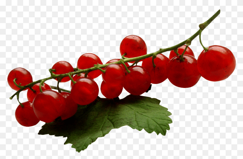 1133x743 Redcurrant, Food, Fruit, Plant, Produce Sticker PNG