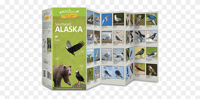 500x355 Redonda Svalbard Southeast Alaska Tasmanian Devil, Bird, Animal, Bear HD PNG Download