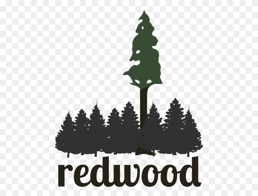 485x579 Redwood Is A Python Framework Intended To Identify Free Redwood Tree Clip Art, Poster, Plant, Lighting HD PNG Download