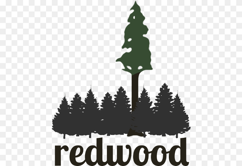 485x579 Redwood Redwood Tree Clup Art, Fir, Pine, Plant, Person PNG