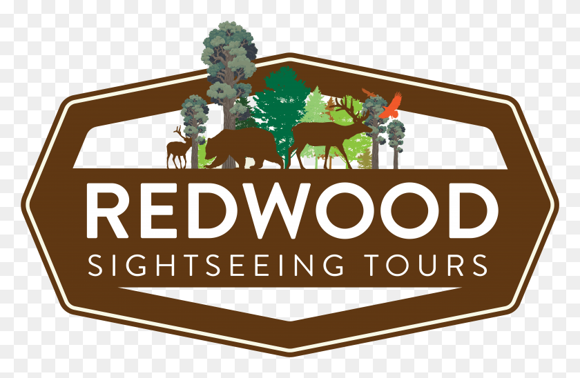 9583x6000 Png Redwood Sightseeing Tours