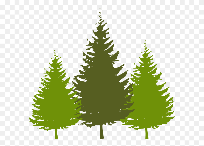 600x543 Redwood Tree With Face Clipart Gt Gt 52kb Winter Trees Silhouette Vector, Plant, Fir, Abies HD PNG Download
