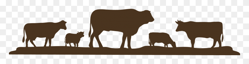 2009x409 Descargar Png Reese Cattle Company Pura Raza Charolais Criadores De Ganado, Vaca, Mamífero, Animal Hd Png