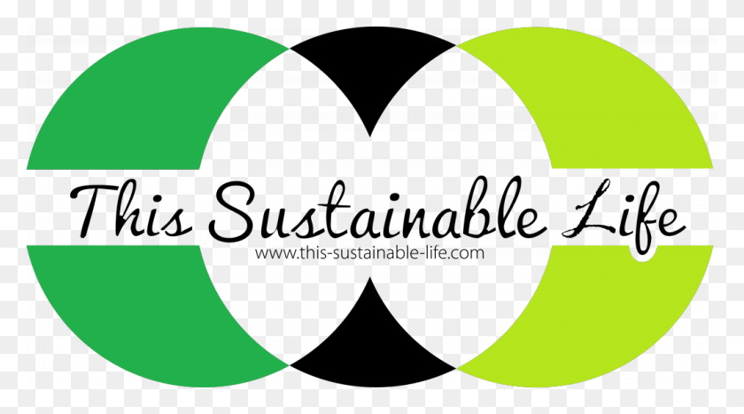 1030x539 Reflection On The Concept Of Sustainability Sustainability Concept, Symbol, Logo, Trademark HD PNG Download