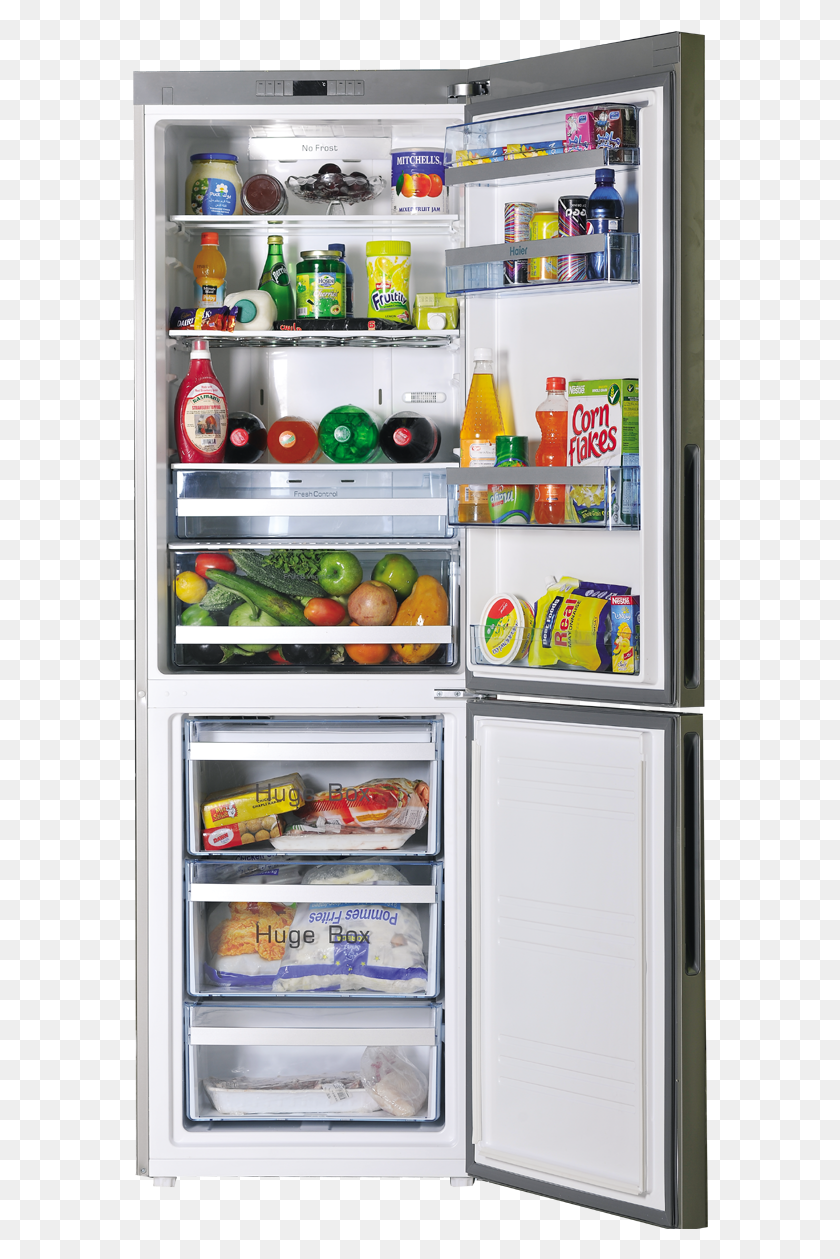 576x1199 Refrigerator Image Bottom Freezer Refrigerator Pakistan, Appliance, Shelf, Ice Cream HD PNG Download